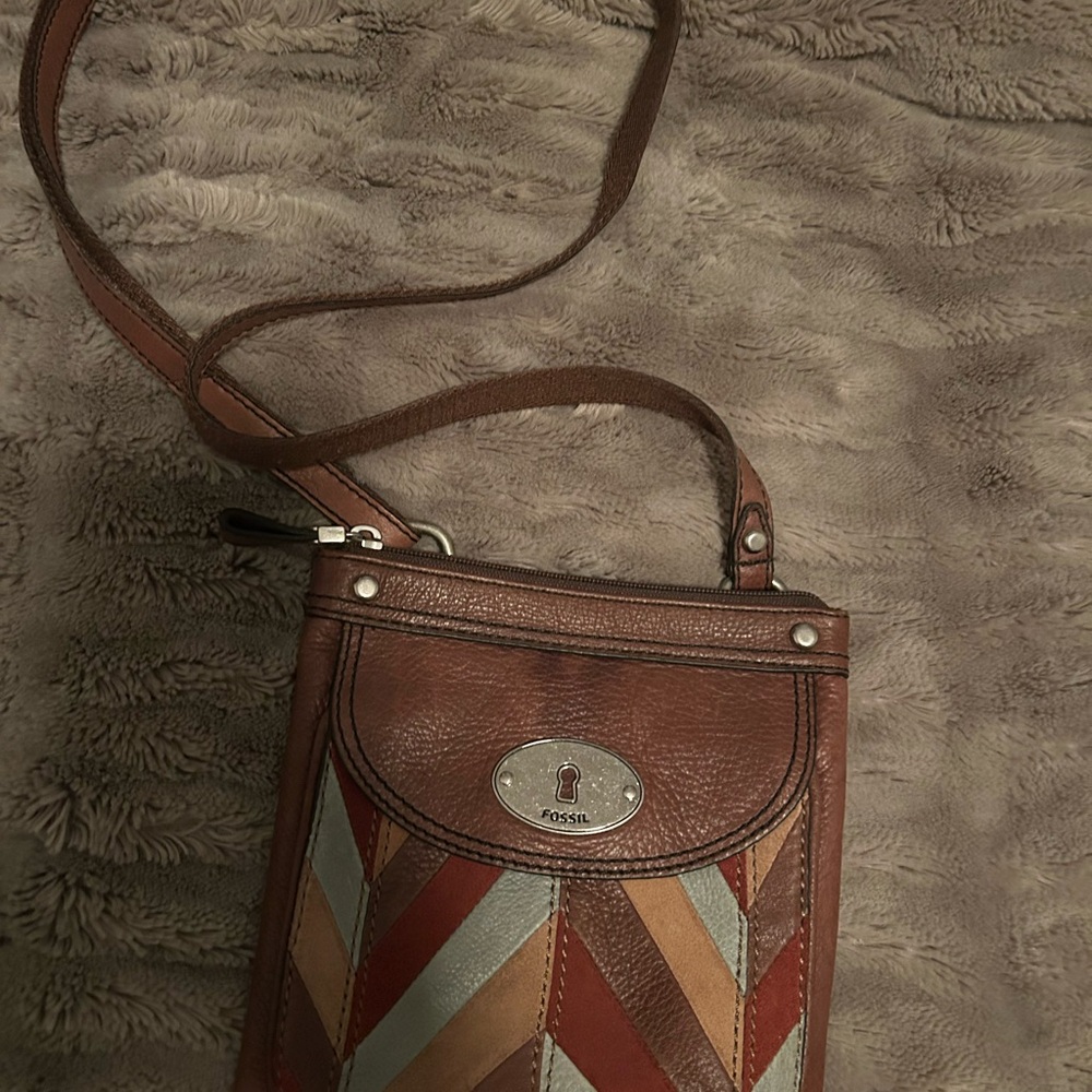Fossil Brown and Multicolor Crossbody Bag